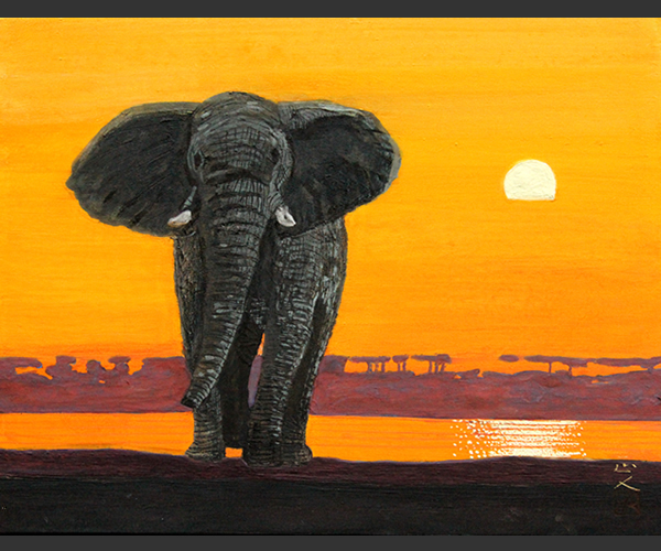 「ボツワナの大地」　6号